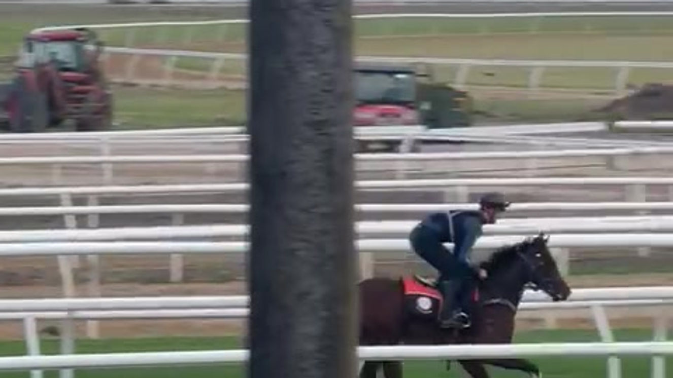 Morpheus Bragi - Track Work with Adrien Senechaud on board.